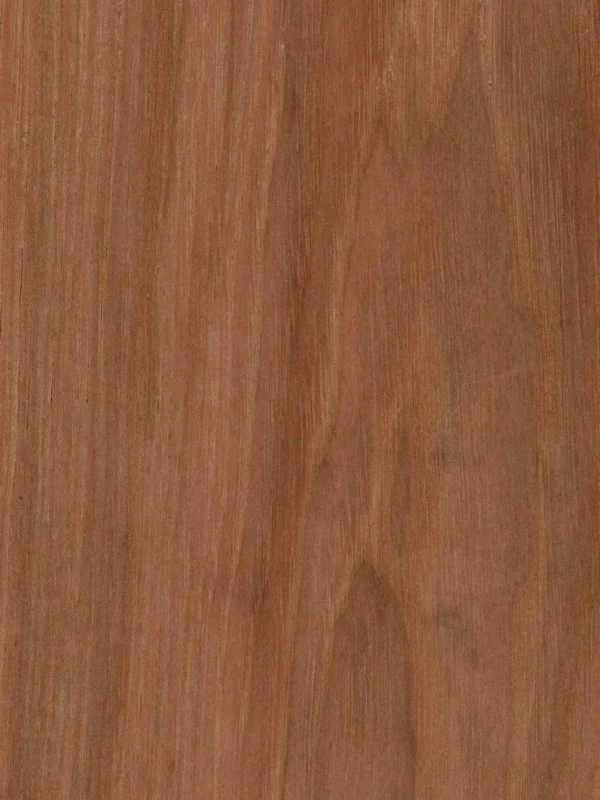 EWF Appalachian Hickory