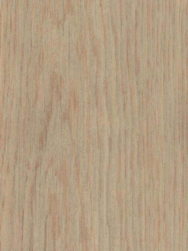 IEHF Boston Oak